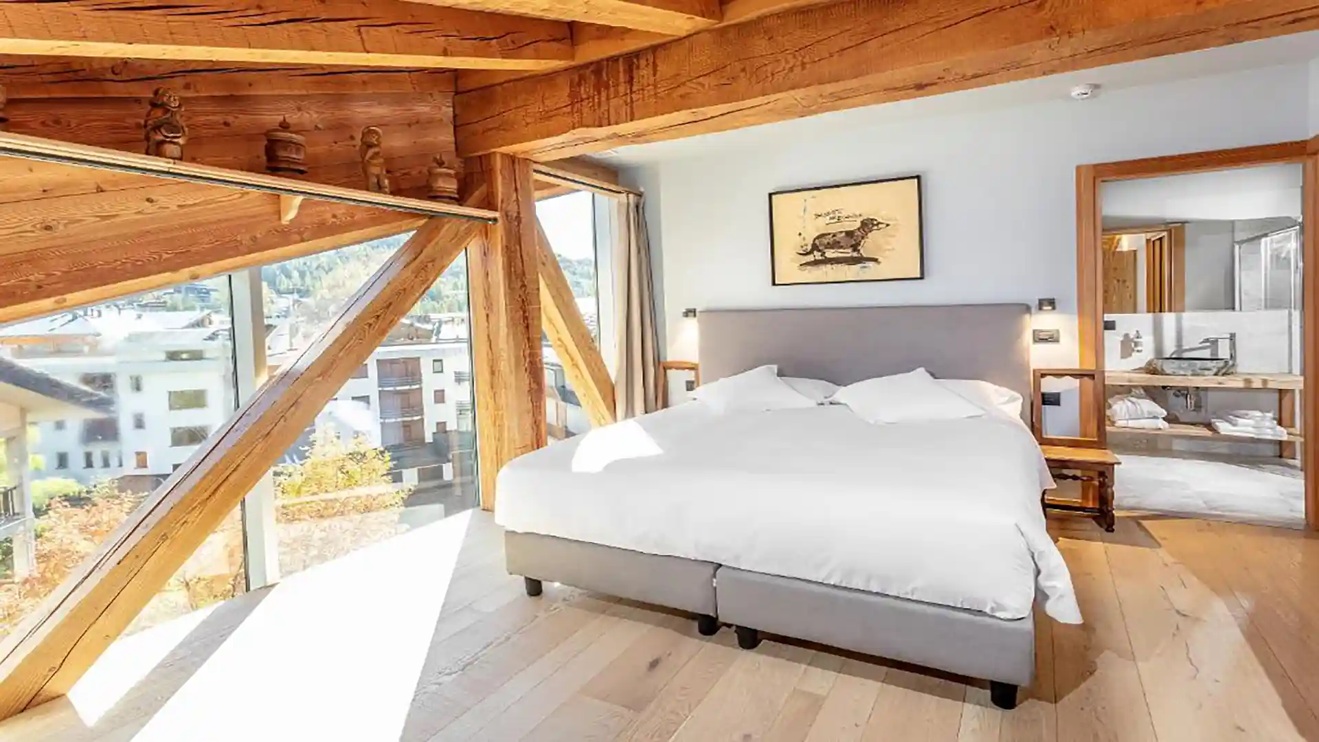 Cmaera Aux Pieds Du Roi